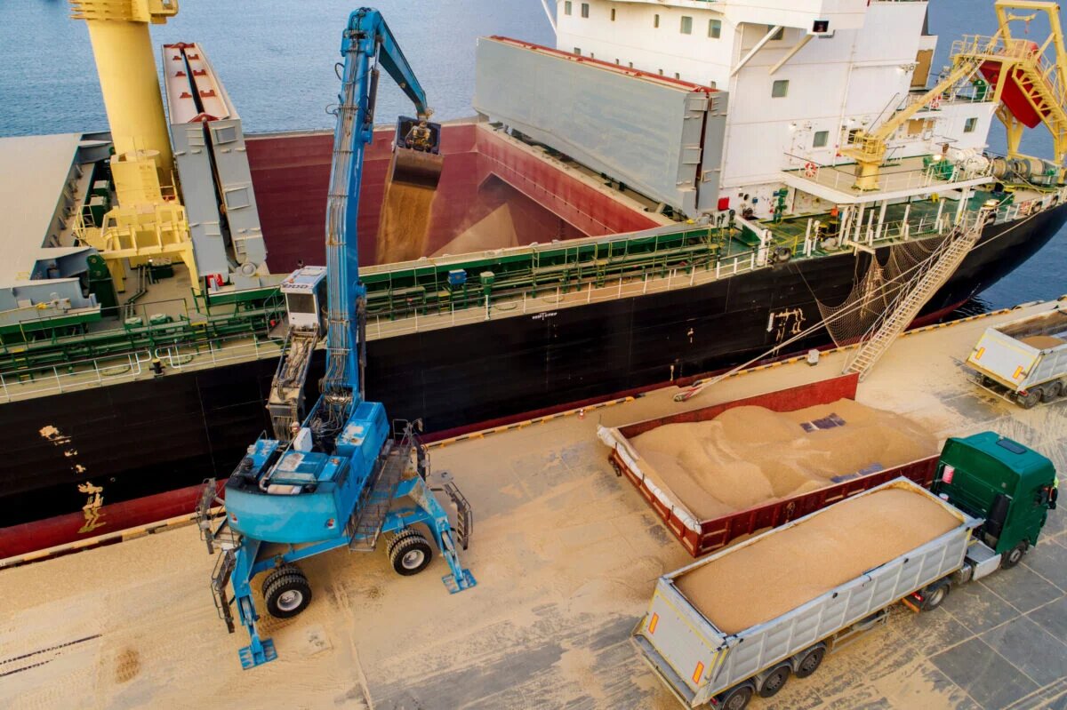 Balança comercial: soja e milho puxam queda das exportações agropecuárias em agosto