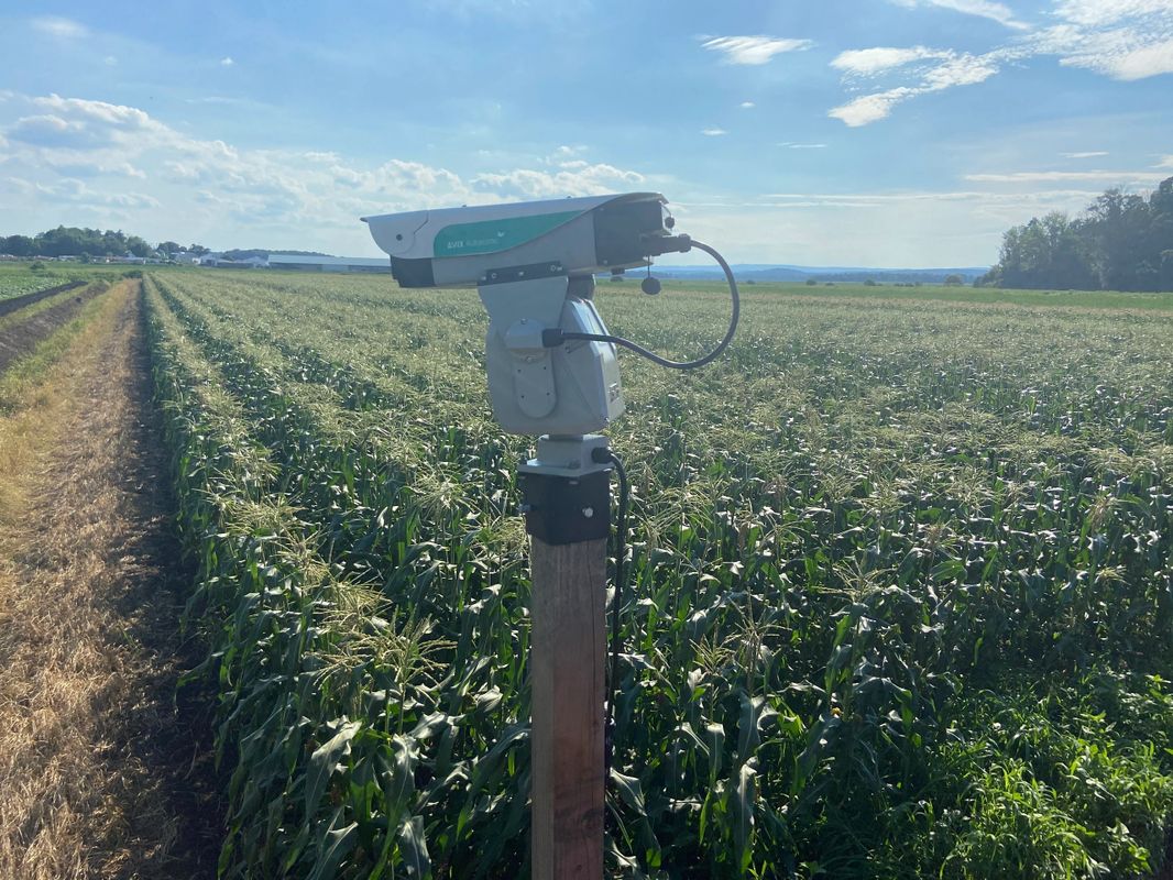 Agrilaser_AVIX_Autonomic_Mark_II_Automated_Bird_Repellent_System-03_2048x_46376a80-4fdf-4910-afe4-67a1dd884681_2048x