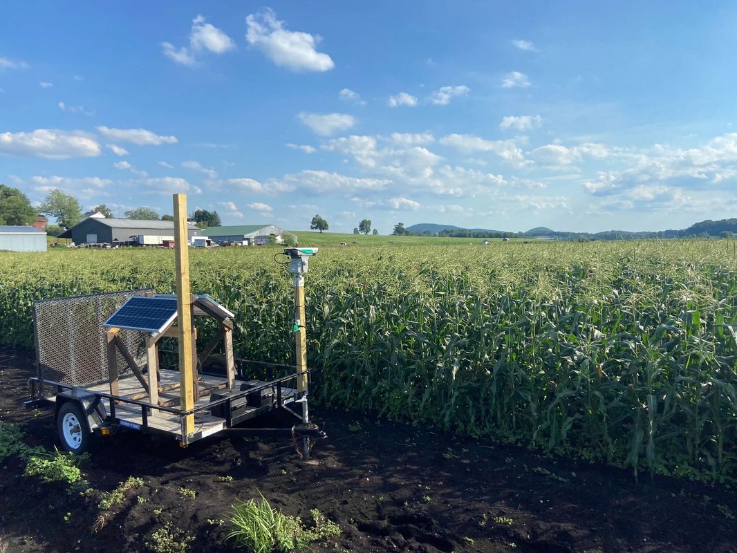 Agrilaser_AVIX_Autonomic_Mark_II_Automated_Bird_Repellent_System-04_2048x_6d650a6e-8db7-4ec5-a8ac-1338346b83ce_2048x