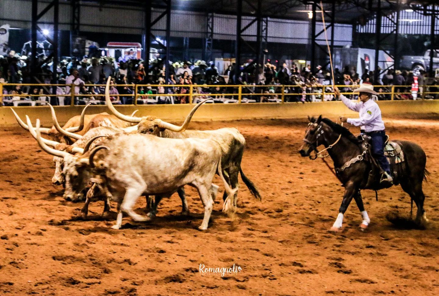 Brasil perde um dos ultimos cowboys - Joao Sergio Jacinto - JS Bovinos - texas longhorn