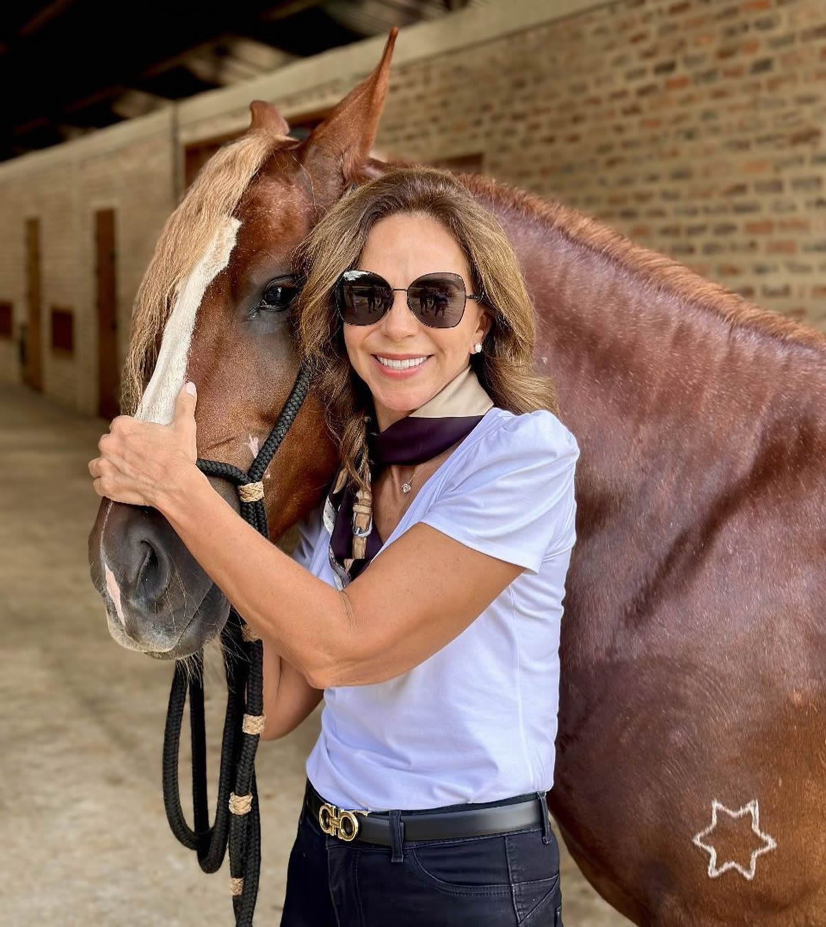 Cristiana Gutierrez presidente do Mangalarga Marchador
