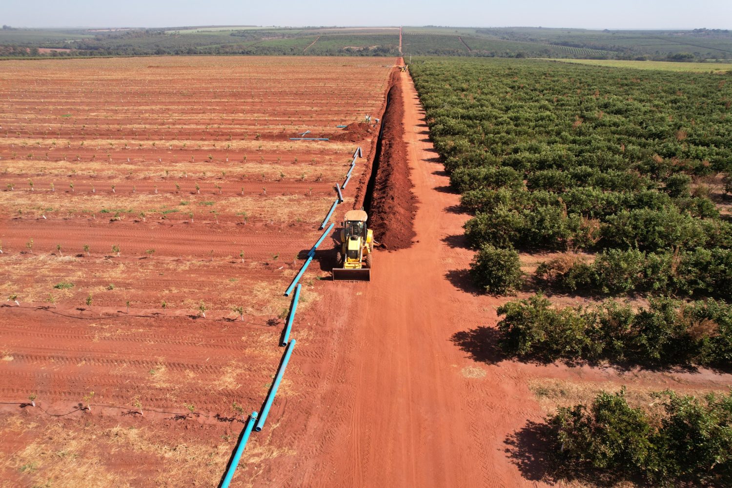 Gigantes da citricultura vao irrigar 2400 hectares