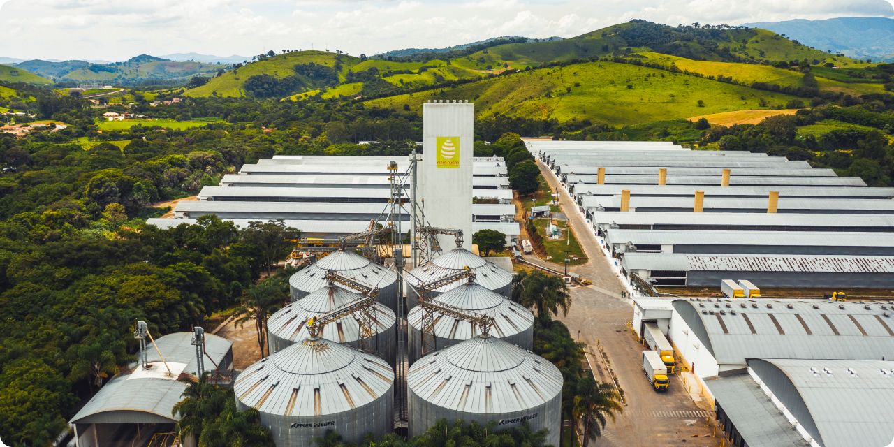 Mantiqueira Brasil - Mercado de ovos projeta marca histórica de 3,94 bilhões de dúzias produzidas em 2025