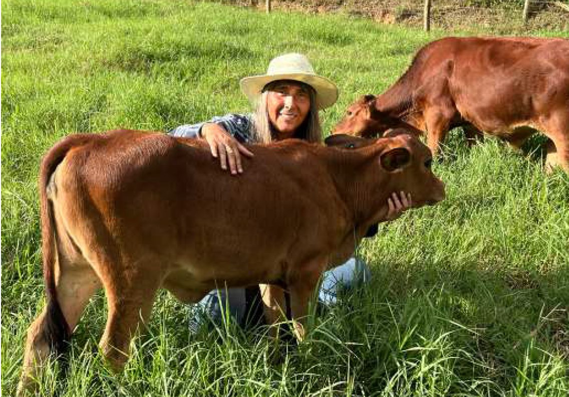 Monica-Angeletti-procurava-um-touro-que-pudesse-cobrir-as-vacas-Jersey-das-fazendas