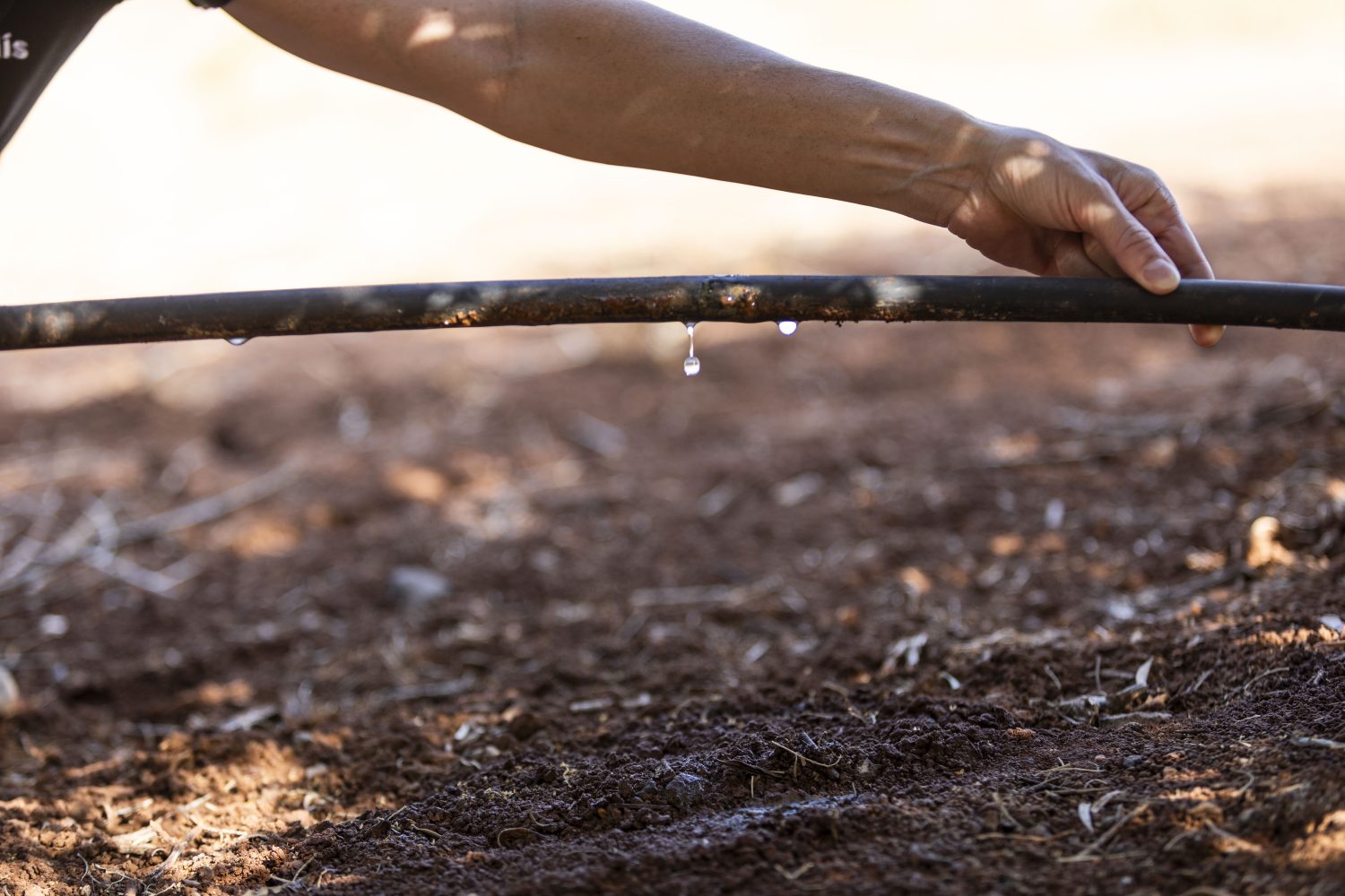 Empresa habilita agricultores para o Mercado de carbono