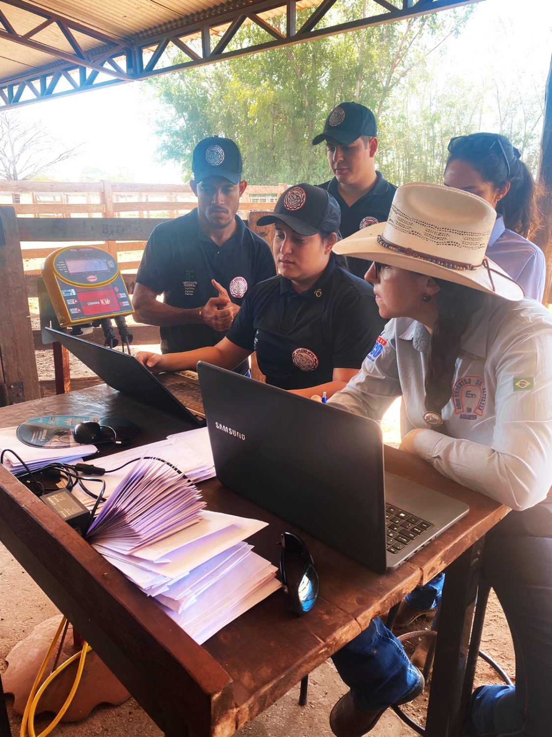 Calendário de pesagem da 4ª Prova de Ganho de Peso do Nelore TO, em Silvanópolis (TO)