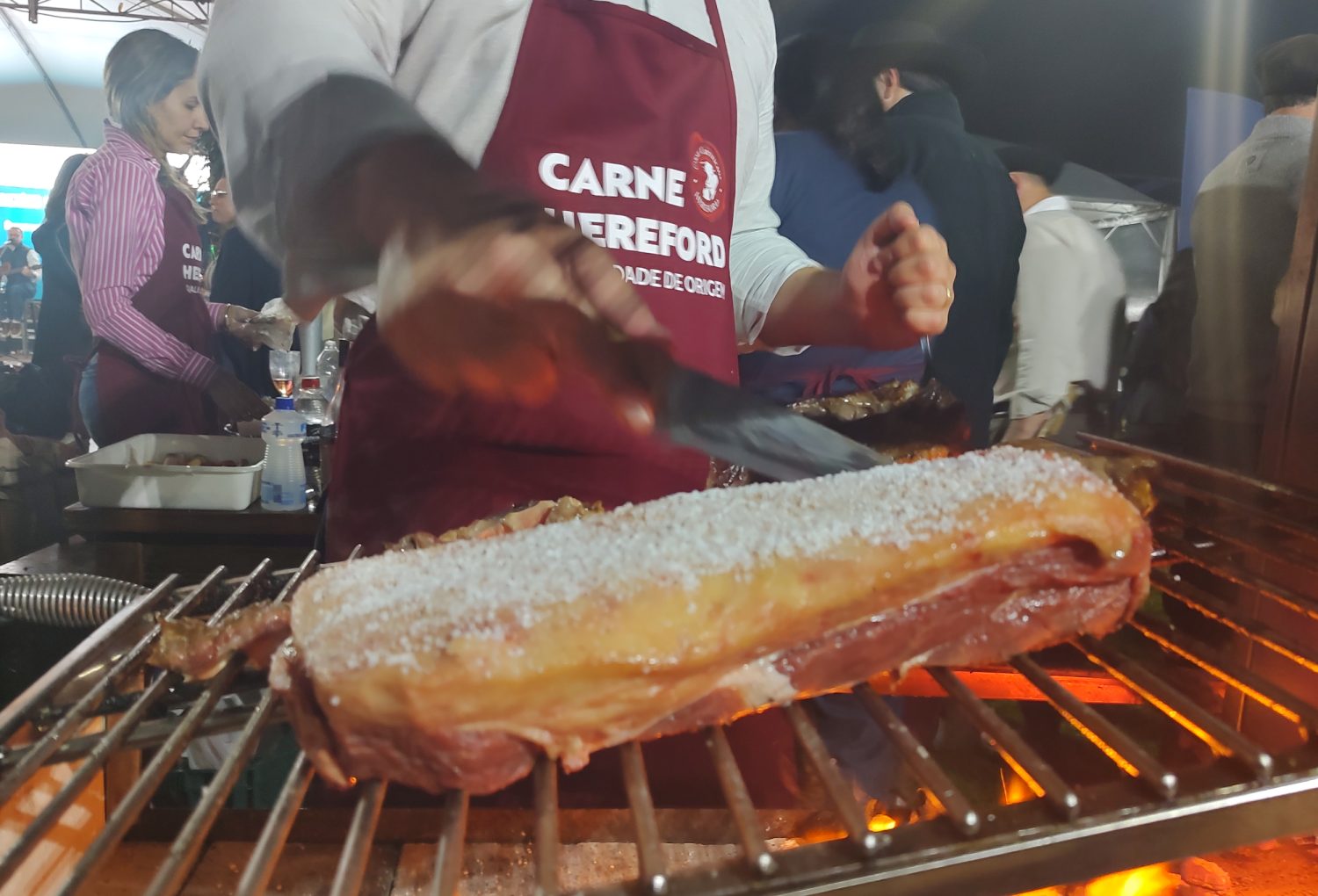 Peleia-Freio-do-Proprietario-Credito-Nestor-Tipa-Junior-AgroEffective