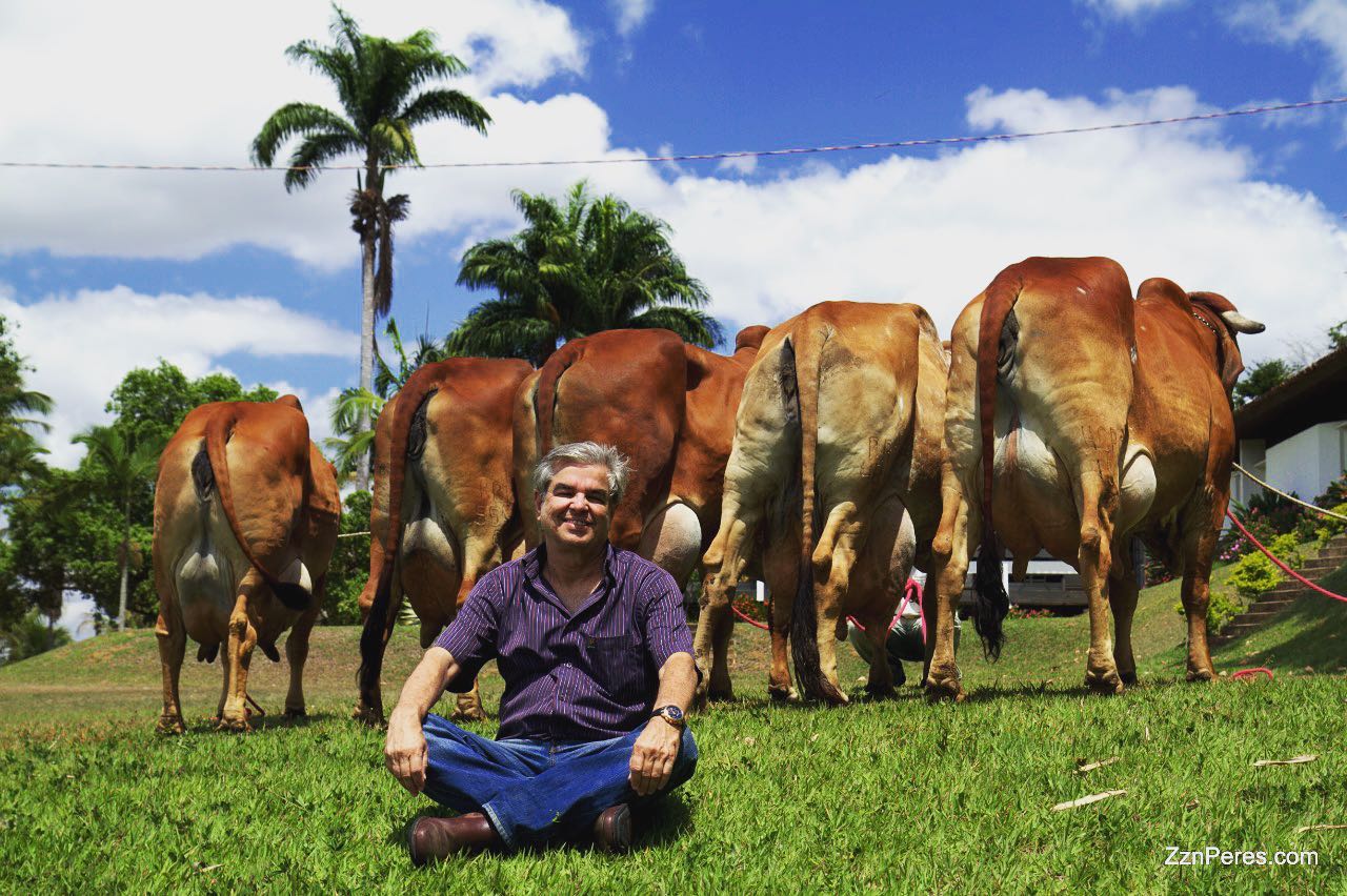 Sr. Flávio Peres. Há 50 anos contribuindo imensamente pelo Gir Leiteiro a frente da Fazenda Brasília / Foto: Zzn Peres