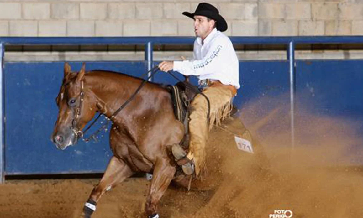 egua quarto de milha SO-MUCH-FUN