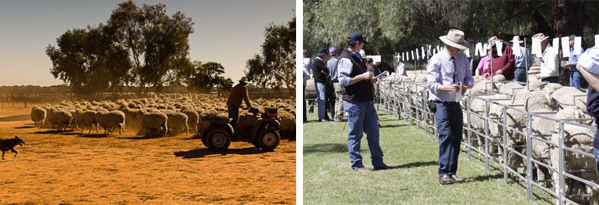 Gigante vende fazendas por quase R$ 3 bilhões em negociação histórica