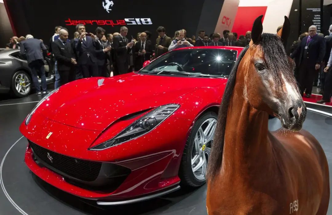 Diversas raças se destacam pela sua versatilidade, desempenho e, claro, pelo valor que atingem no mercado. Neste conteúdo, vamos apresentar os cavalos mais valorizados de cada uma dessas raças