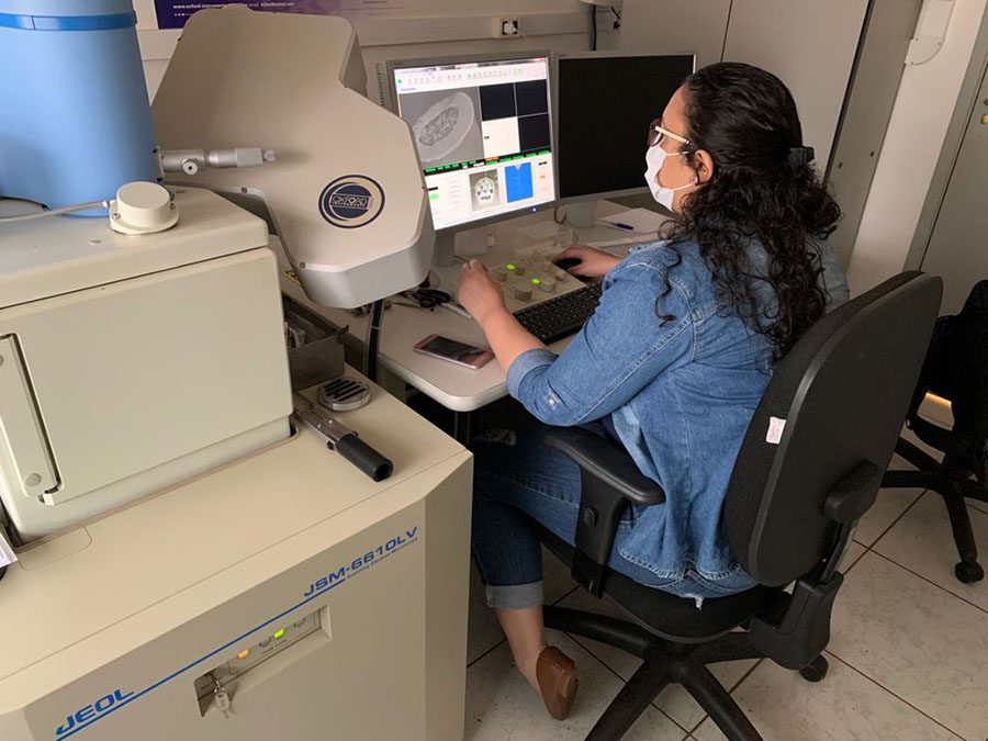 Pelagem tem influência direta na adaptação de bovinos às mudanças climáticas