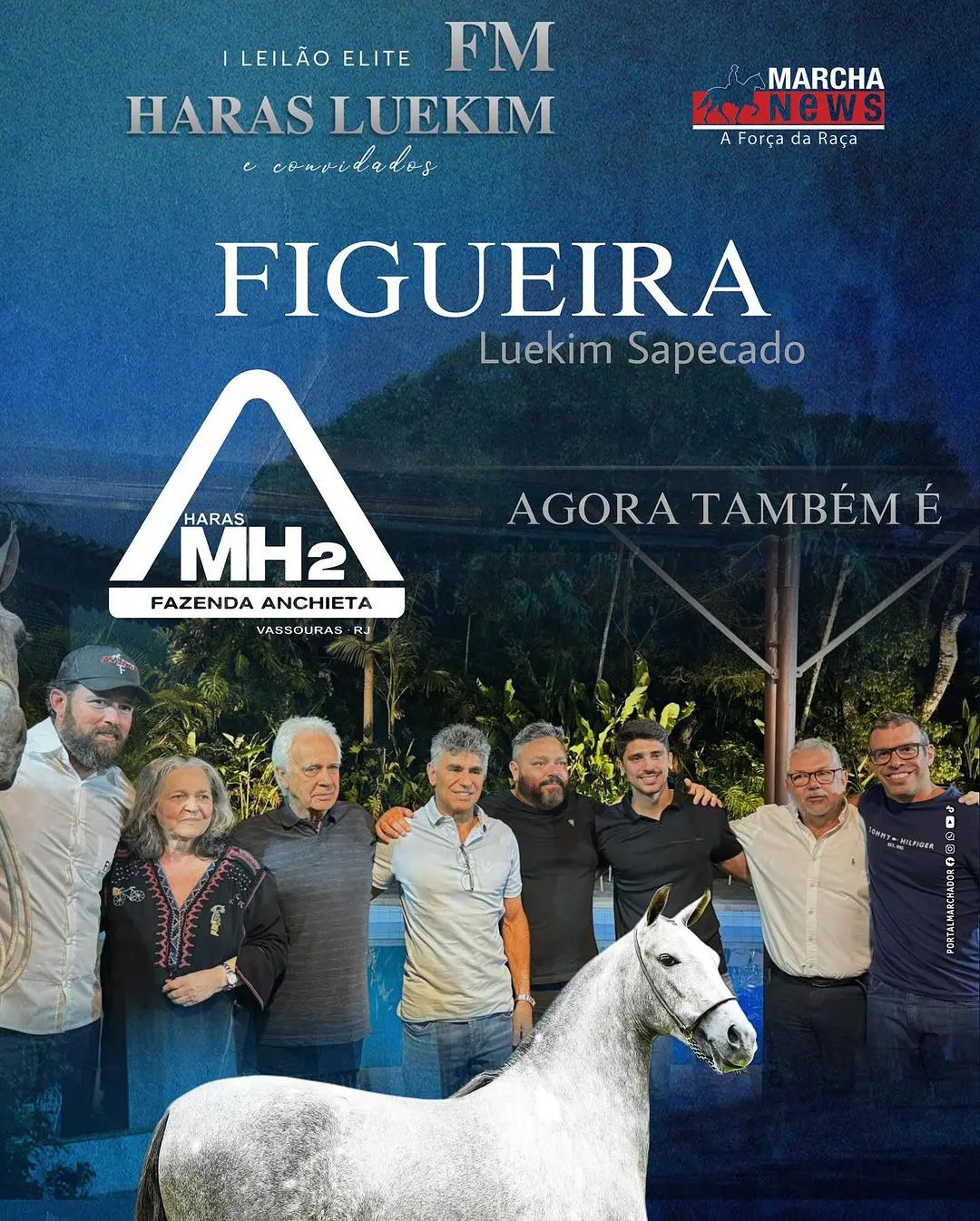 o Mangalarga Marchador mais caro do país