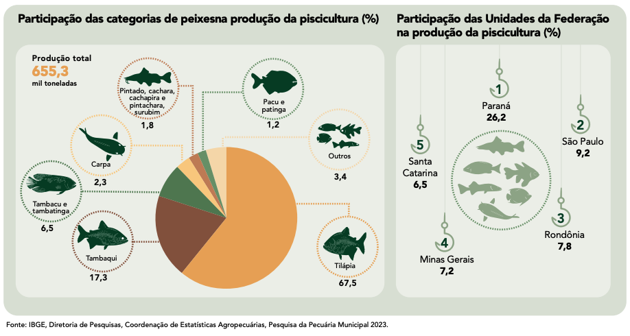 Piscicultura - produção de tilápias