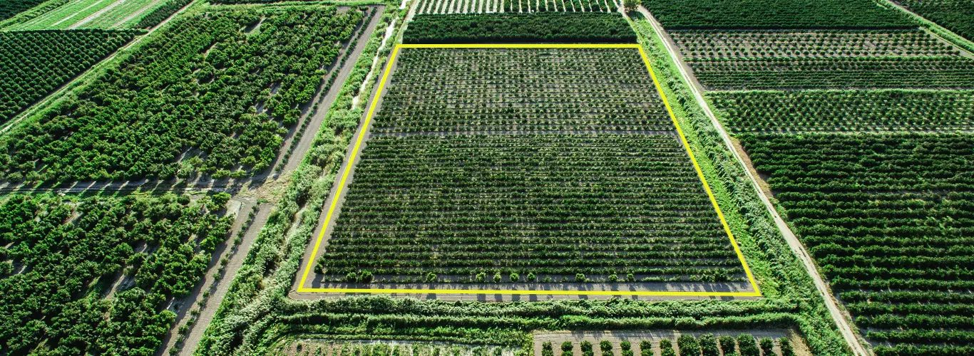 Hectare ou Alqueire: Qual o termo certo?