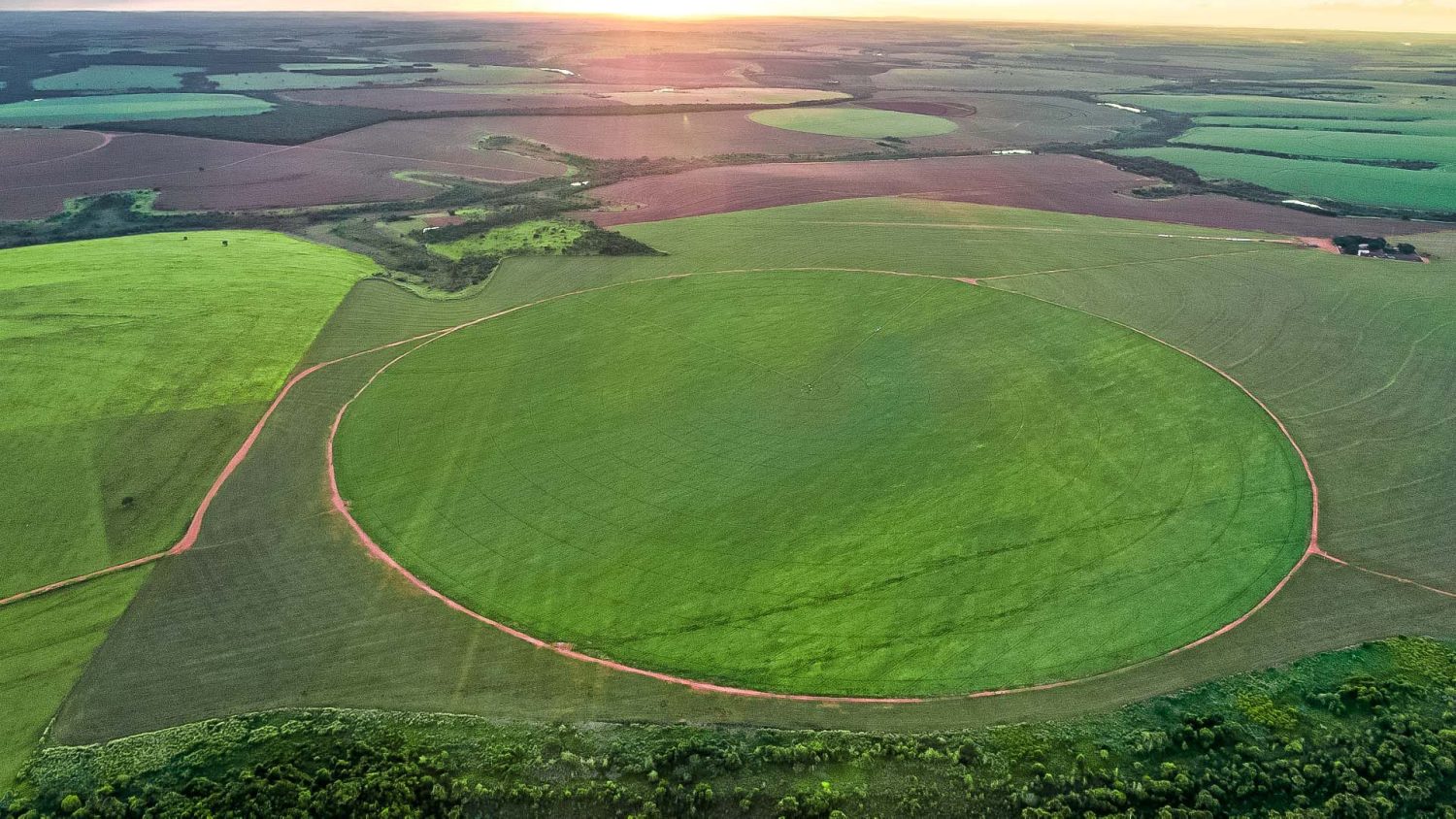 Hectare ou Alqueire: Qual o termo certo?