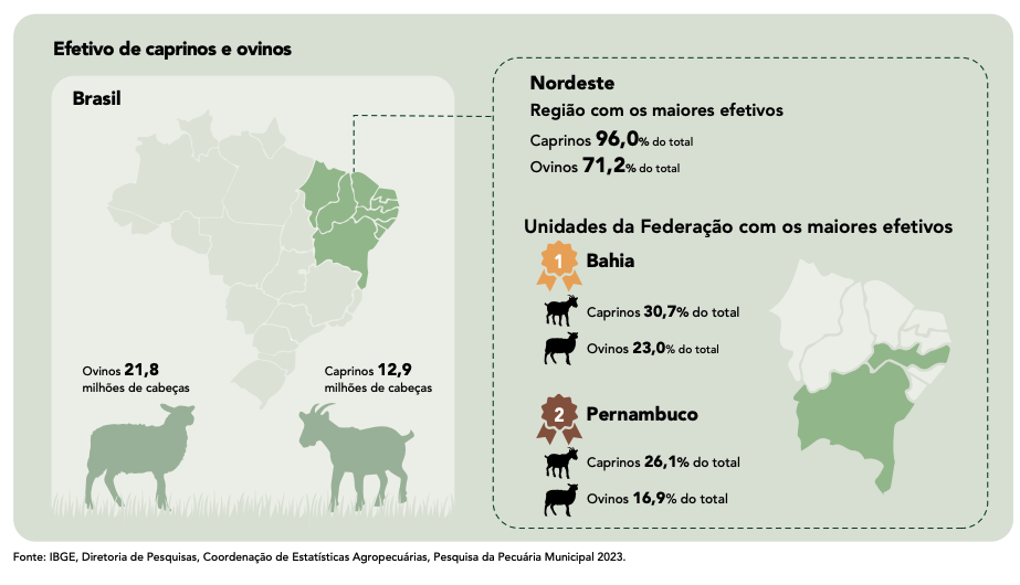 Nordeste se destaca como líder, abrigando 96% do rebanho caprino do país