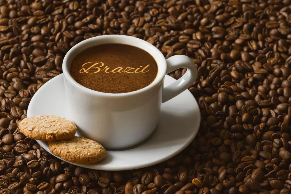 Café brasileiro é eleito o melhor do mundo pelo segundo ano consecutivo no Prêmio Internacional de Café Ernesto Illy