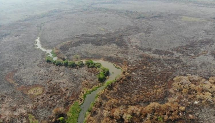 Incêndio com devastação de 333 mil hectares resulta em multa de R$ 100 mi, no Pantanal