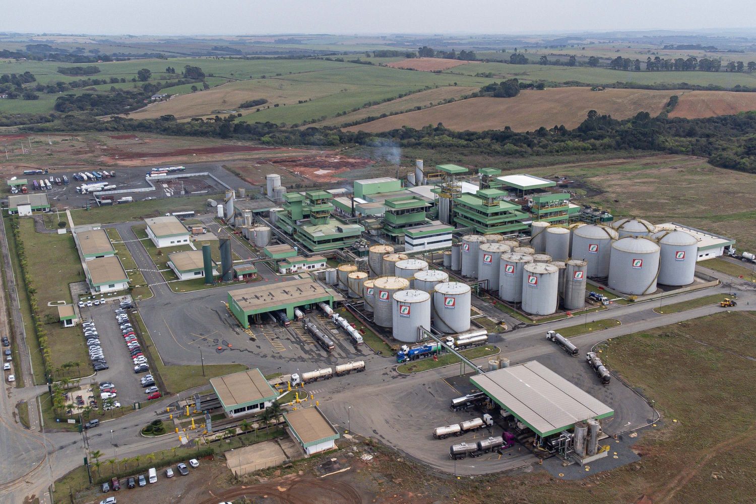 industrialização da soja