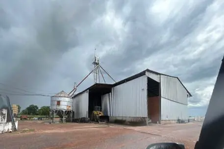 Fábrica de ração para gado de corte: qual é o momento ideal para investir?