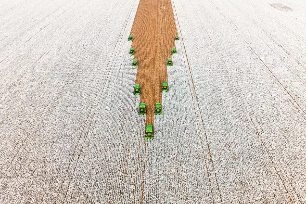 Fazenda adota agricultura regenerativa para elevar produtividade do algodão. maior agricultor do país