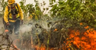 incendio-florestal focos de calor