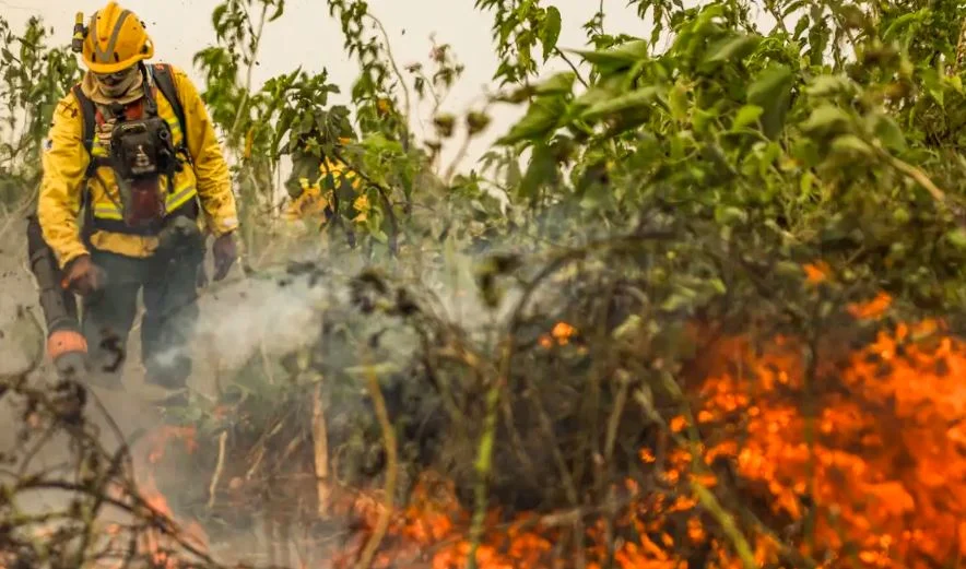 incendio-florestal focos de calor