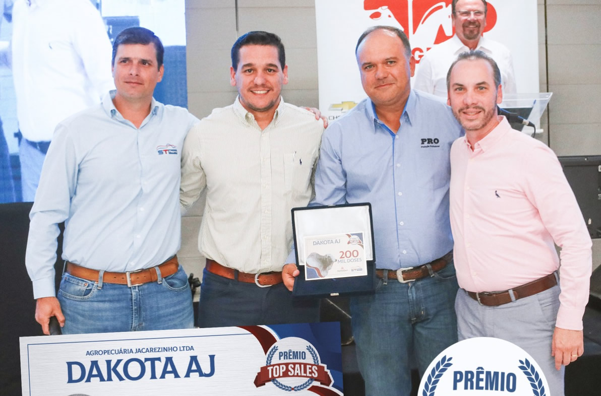 touro nelore - dakota aj