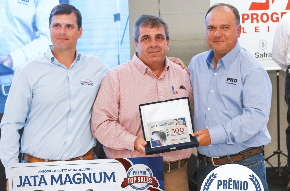 touro nelore - jata magnum