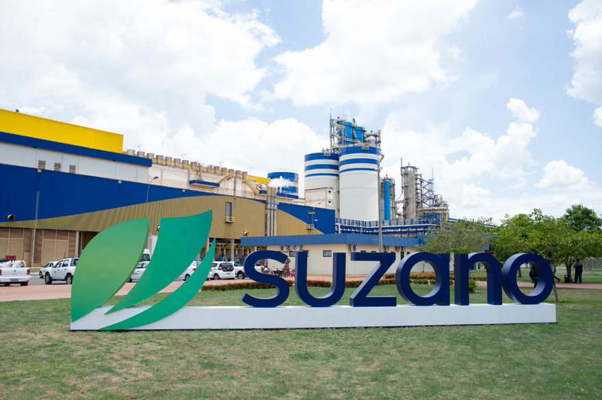 suzano