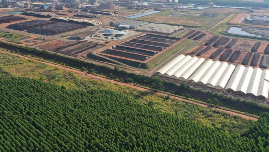 Maior produtora mundial de celulose expande para produzir insumos agrícolas