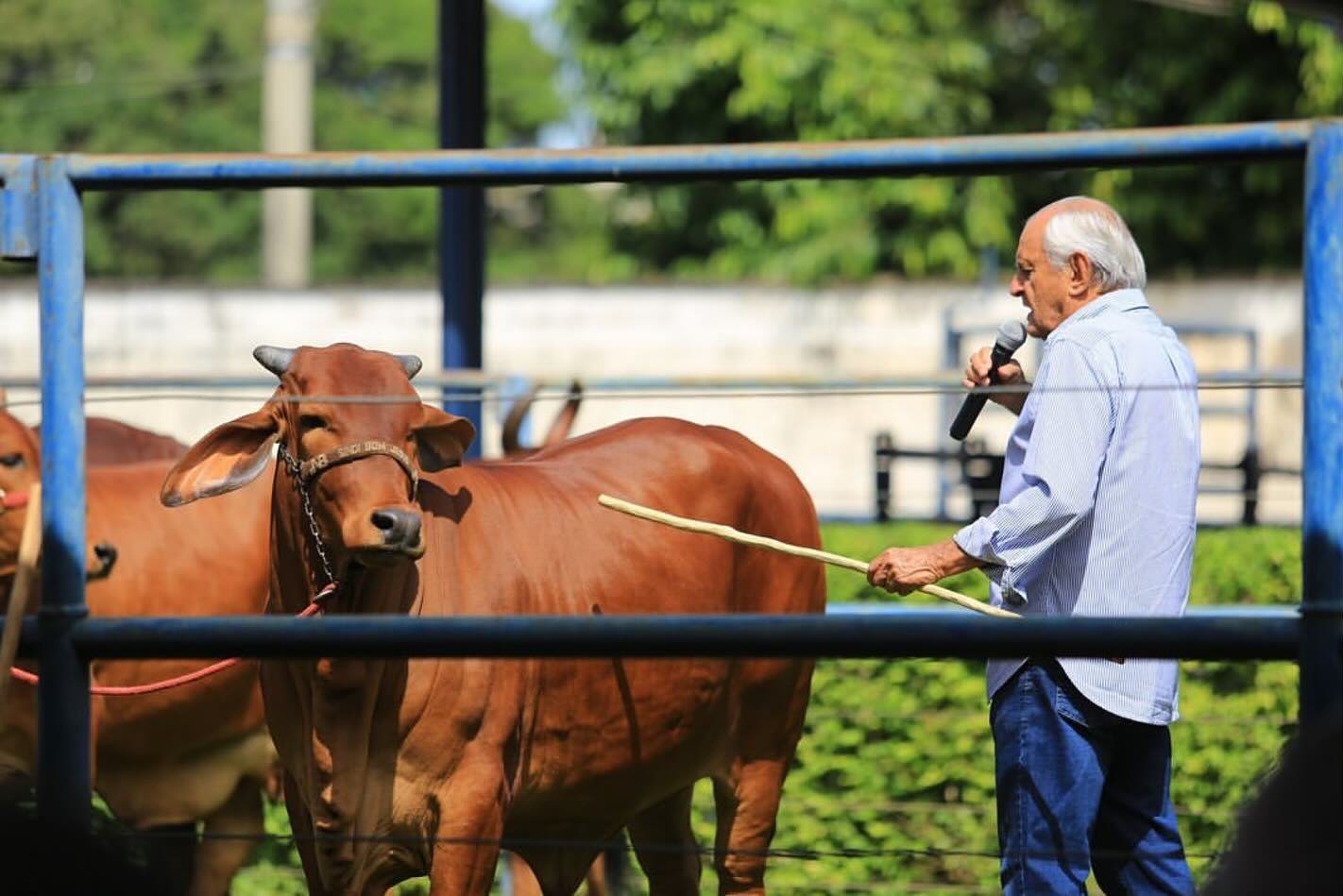 Adir do Carmo Leonel - Grupo Adir - matrizes Sindi