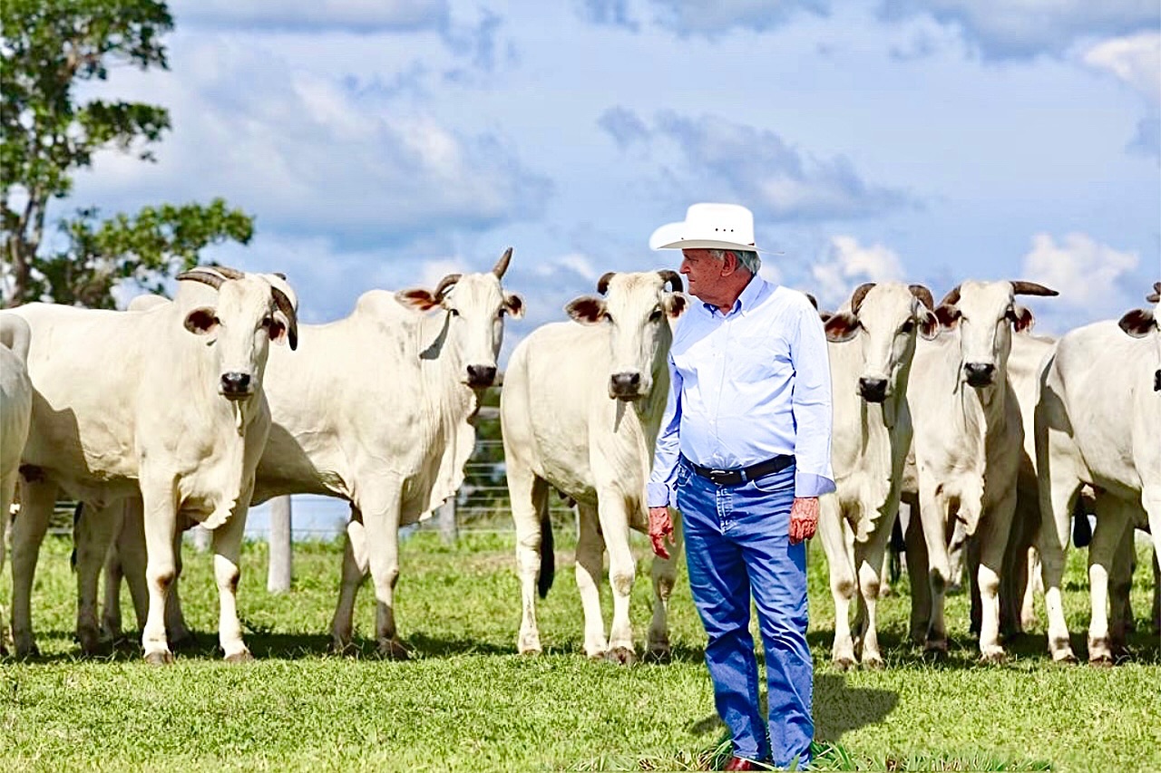 Adir do Carmo Leonel - Grupo Adir - matrizes nelore 2