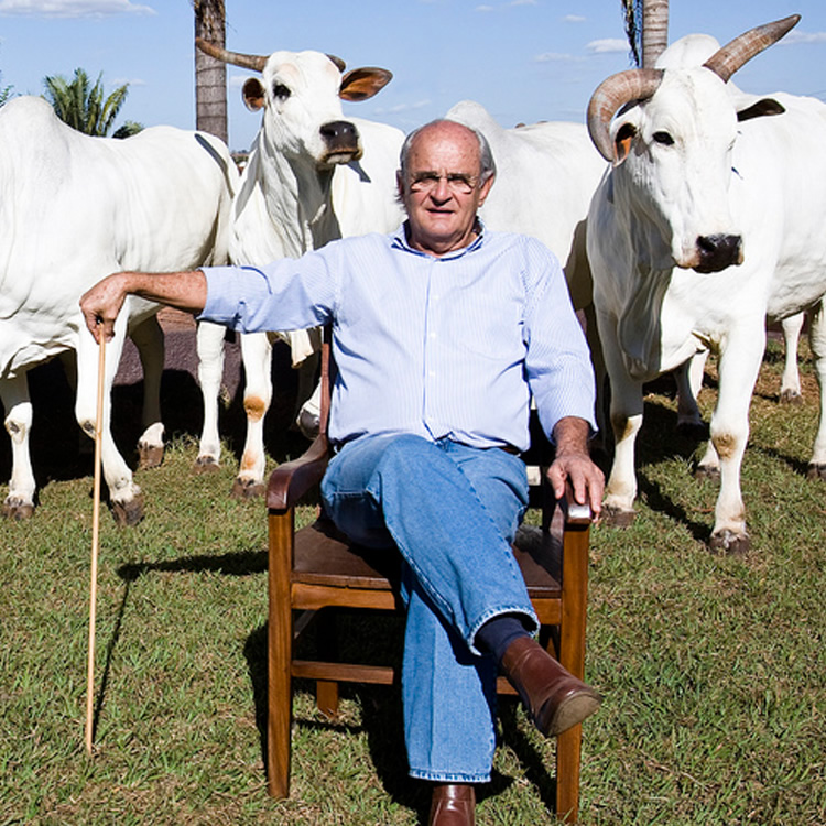 Adir do Carmo Leonel - Grupo Adir - matrizes nelore