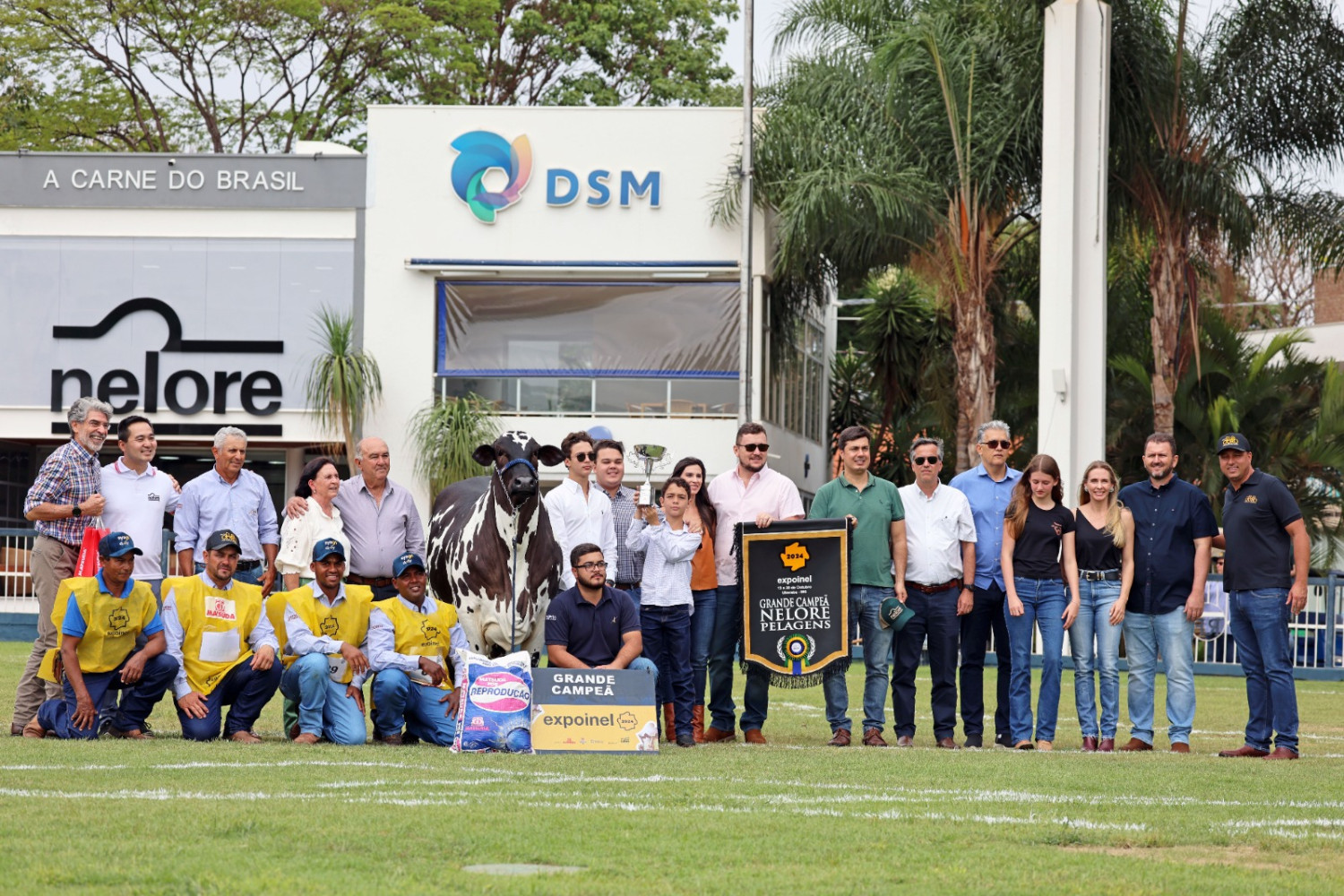 Grande Campeã - BETINA FIV SYAGRI (Otaniel José Pereira)