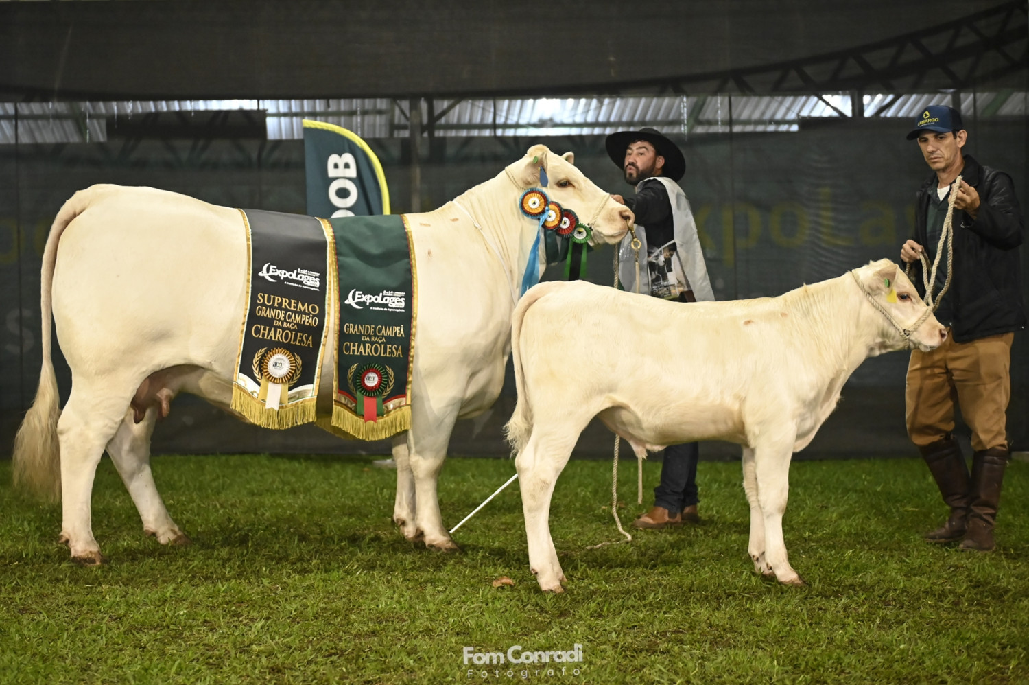 Grande campea e suprema grande campea - Fom Conrad