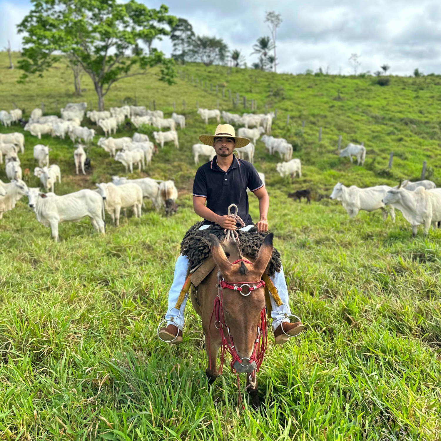 Kalebi Silva - Nelore Modelo - instagram