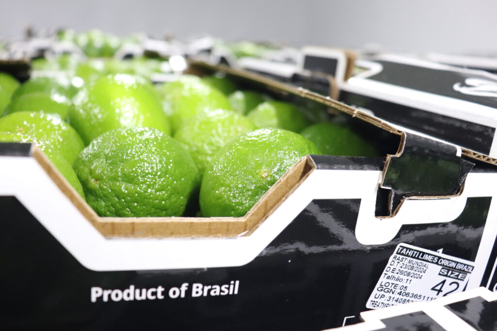 Oferta da tahiti cresce neste início de 2025, mas deve recuar em fevereiro