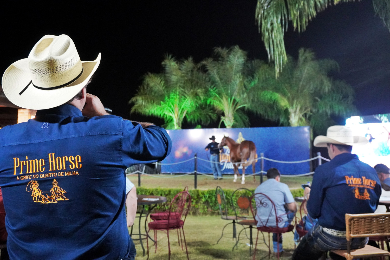 Prime Horse Intimate - Quarto de Milha