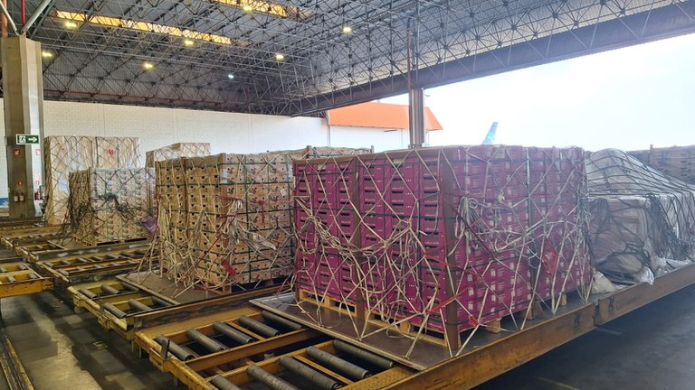 Viracopos recebe carros da Fórmula I e despacha frutas no voo de volta