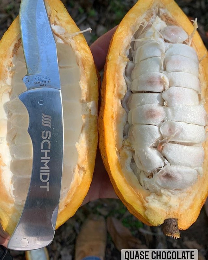 cacaudocerrado-20210512_081545-139814853