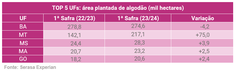 Plantio de algodão 1ª safra cresceu 82,2 mil hectares em 2024
