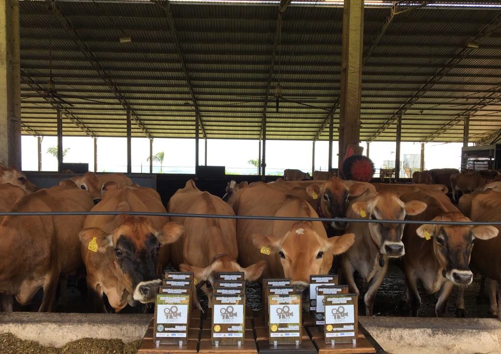 Fazenda Lagoa Dourada