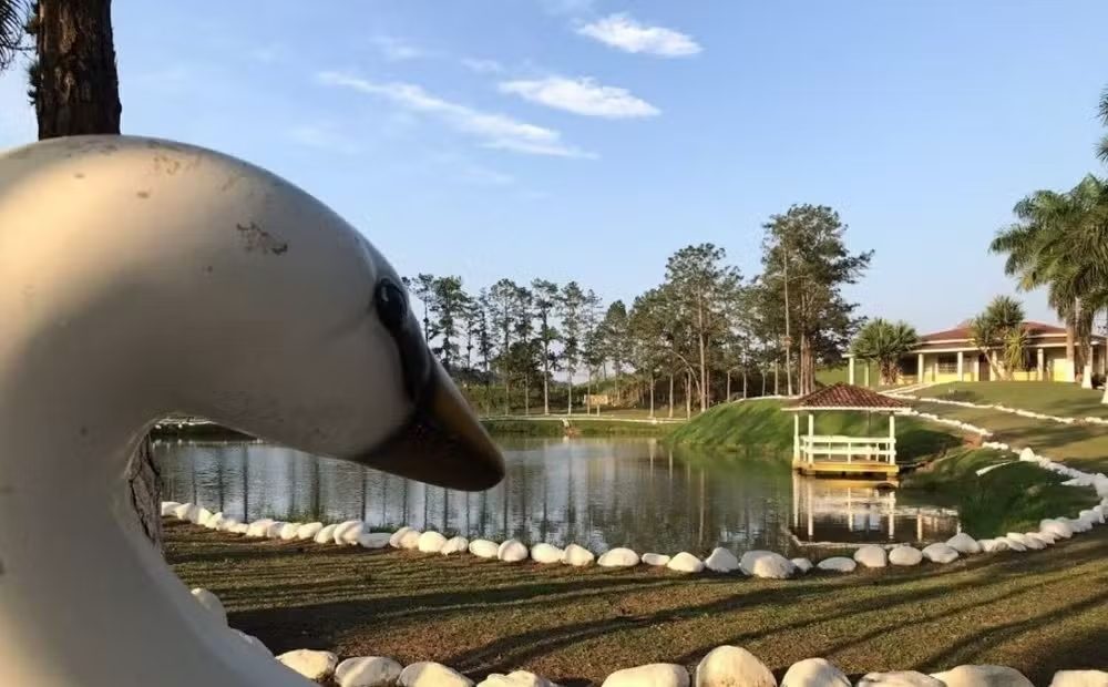 Fazenda de Pelé está avaliada em 35 milhões de reais. (Foto: Portal Chaozão) 