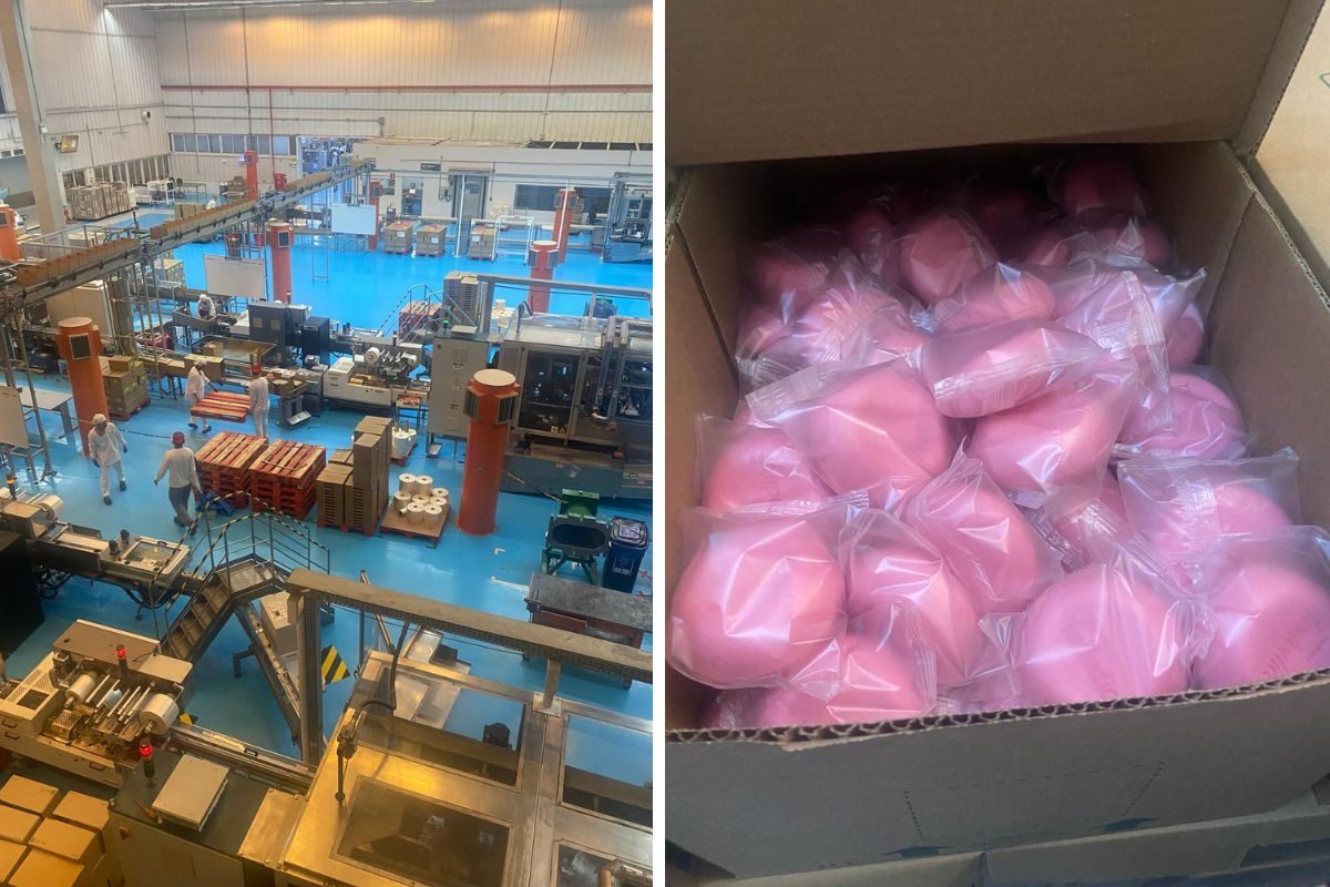 Produção de óleo de palma do Pará na rota da sustentabilidade