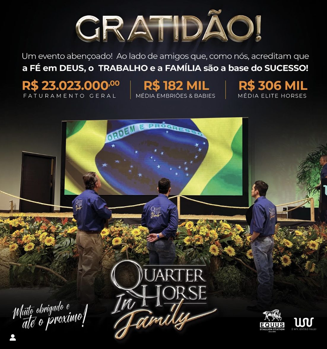 Leilão Quarter Horse In Family - Quarto de Milha