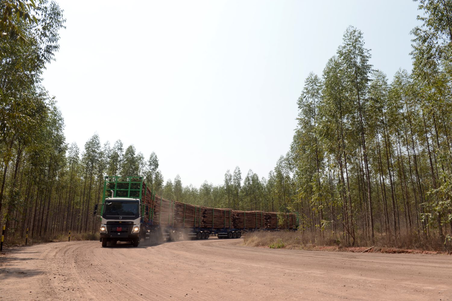 maior veículo florestal do mundo