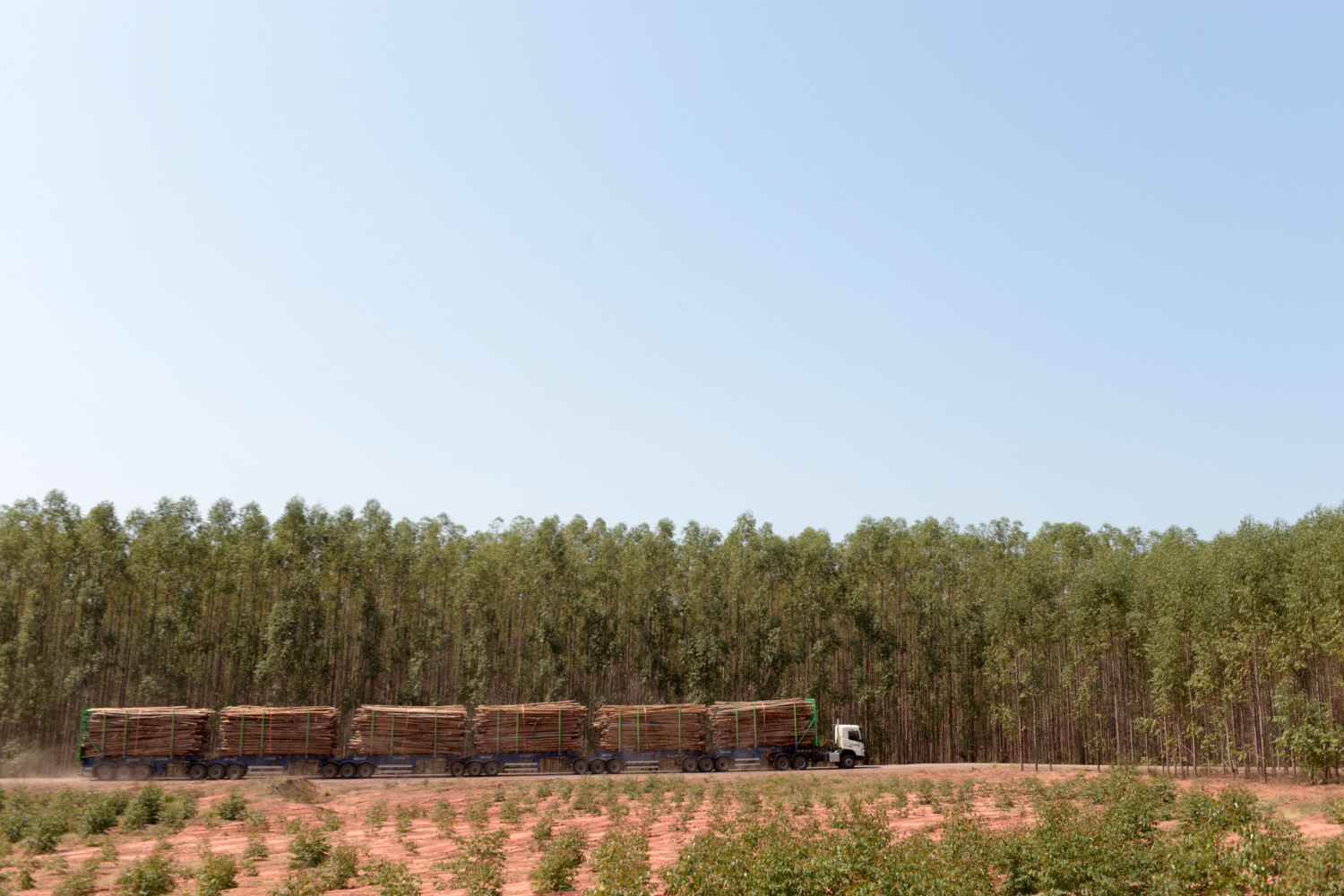 maior caminhão florestal do mundo