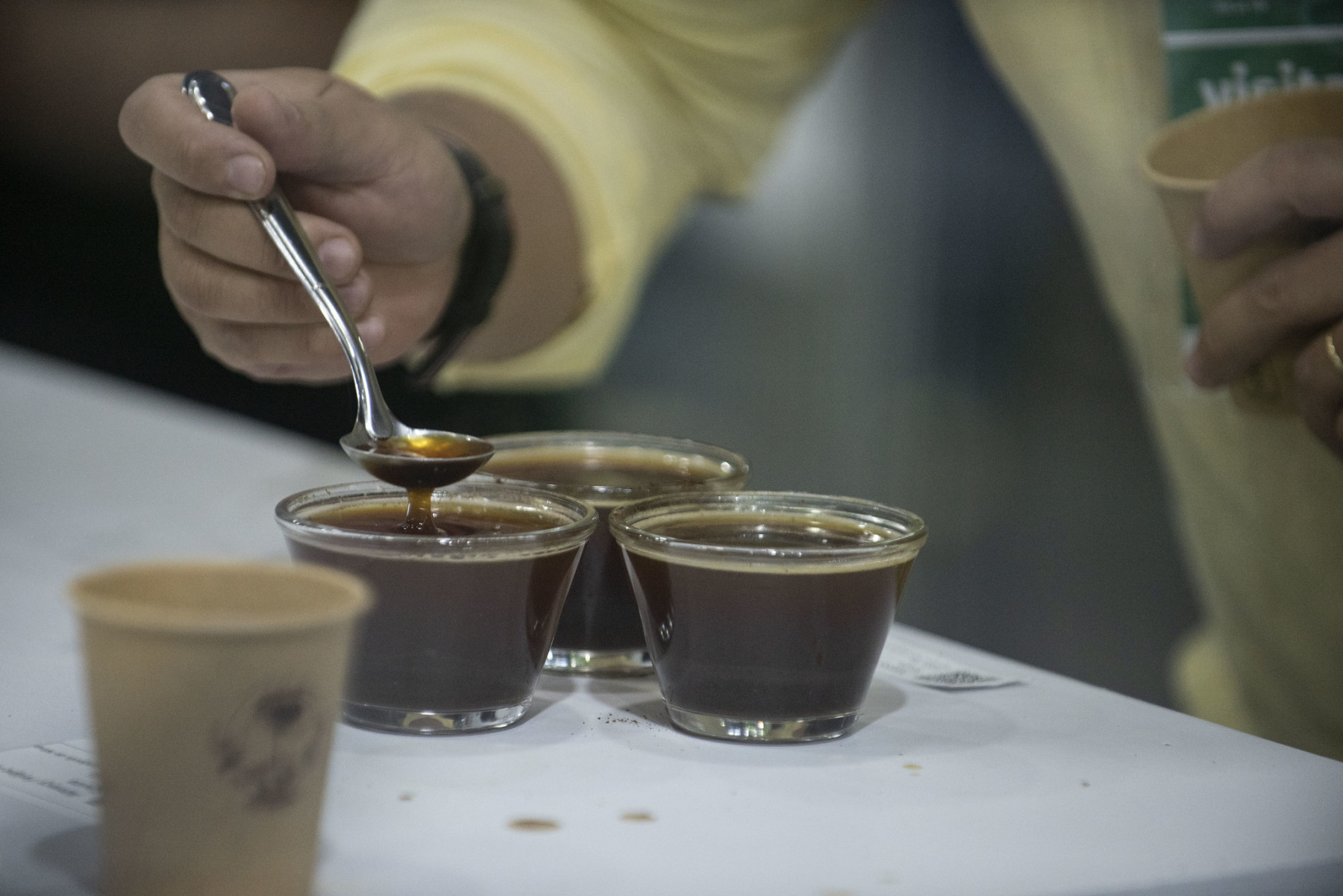 semana Internacional do café